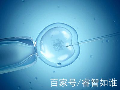 私人高龄代怀助孕服务哪家好
